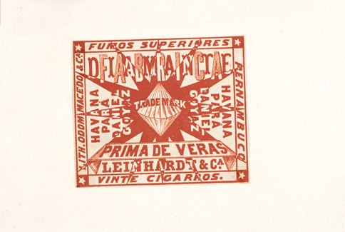 vizualizar o documento on line